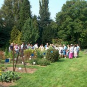 Visites guidées thématiques au Jardin Massart