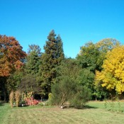 Diversité et rôle des fleurs