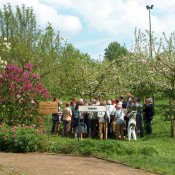 Visite guidée du Jardin Botanique  Jean Massart