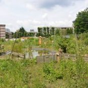 École d’été de l’agriculture urbaine et alimentation durable