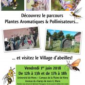 Visite guidée du Parcours "Plantes Aromatiques & Pollinisateurs" à l'UMONS