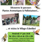 Visite guidée du Parcours "Plantes Aromatiques & Pollinisateurs" à l'UMONS