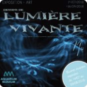 Dessins de lumière vivante