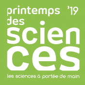 Les secrets des œuvres se dévoilent au TreM.a – Musée des Arts anciens