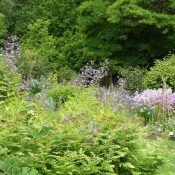 Un jardin botanique aux portes de Bruxelles !