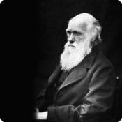 Darwin Day : matinée scolaire