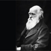 Matinée de conférences « Darwin Day »