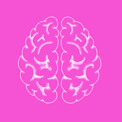 Science Show : Le cerveau au service des apprentissages
