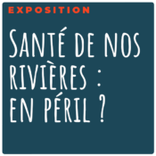 Santé de nos rivières : en péril ?