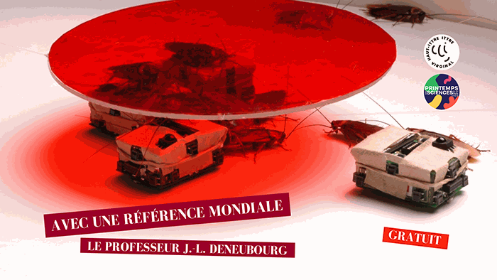 2022 SCI Conf JLD COM FBCouv