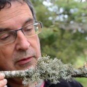 Lichens GO : atelier sur les lichens - Feluy