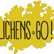 Lichens Go! : évaluez la qualité de l’air dans votre quartier - Liège