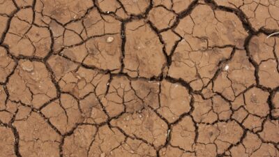 photo d'une parcelle de terre sèche et craquelée