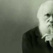 Darwin, le H.M.S. Beagle et l’émergence de l’Evolution